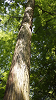 camp28 (138)_thumb.png